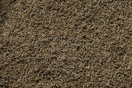 Tane Kimyon Kullanımı ve Faydaları Nelerdir?